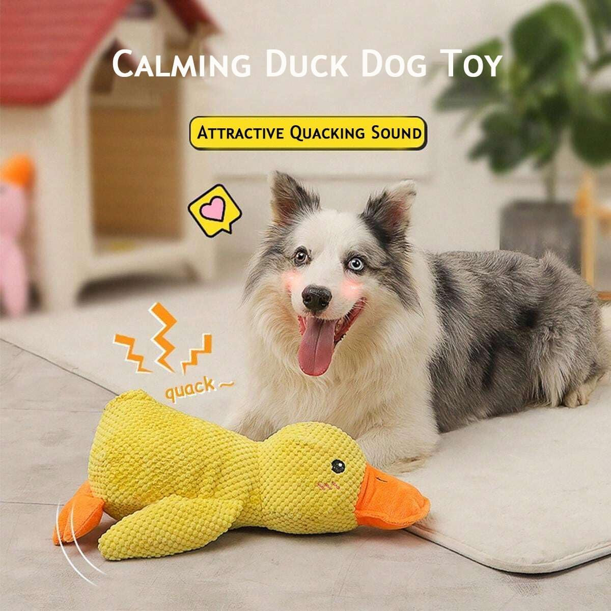 ChewMate – Puppy's Play Pal